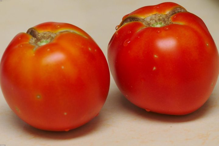 A productive urban balcony garden with tomatoes and peppers.