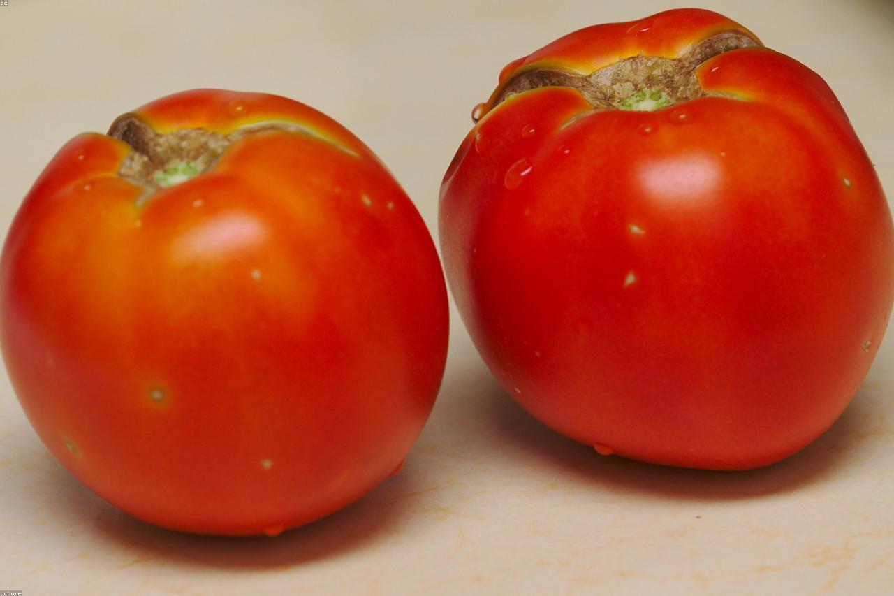A productive urban balcony garden with tomatoes and peppers.