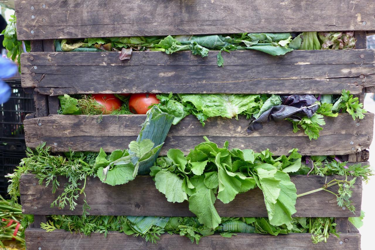 A wooden three-bin compost system built from reclaimed lumber.