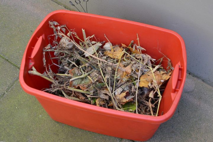 Compost being added to a garden bed as a natural soil amendment.
