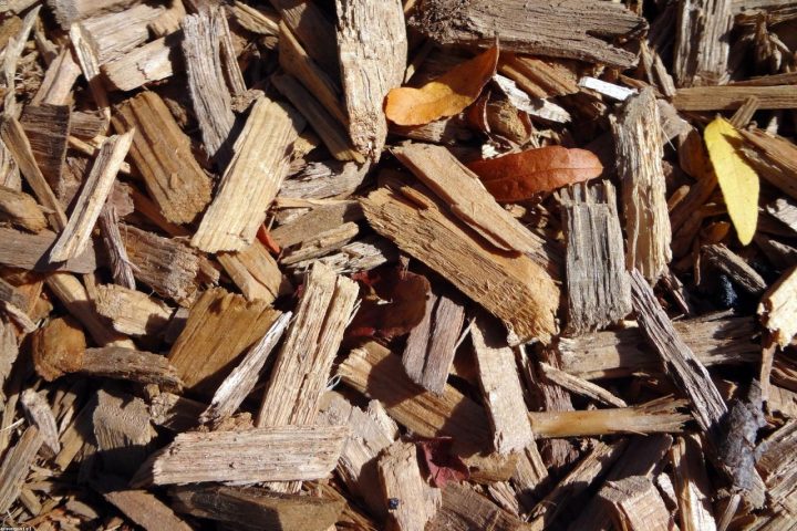 Different mulches displayed side by side in test garden beds.