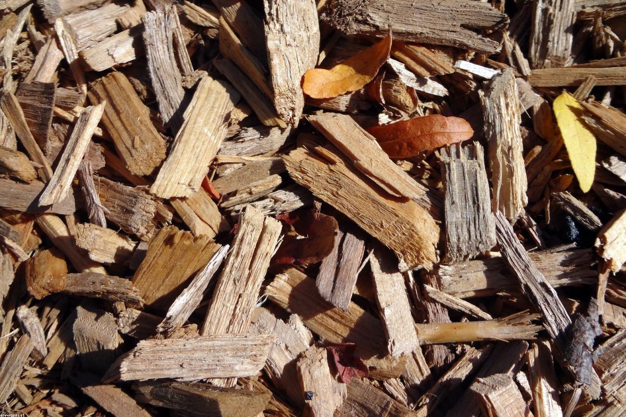 Different mulches displayed side by side in test garden beds.