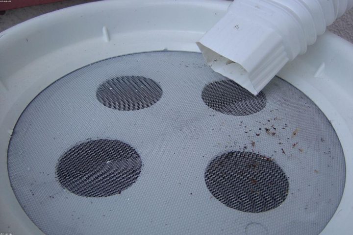 A rain barrel collecting water from a roof downspout for garden use.