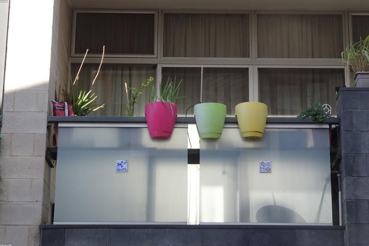 A small apartment balcony garden with herbs and rainwater collection.