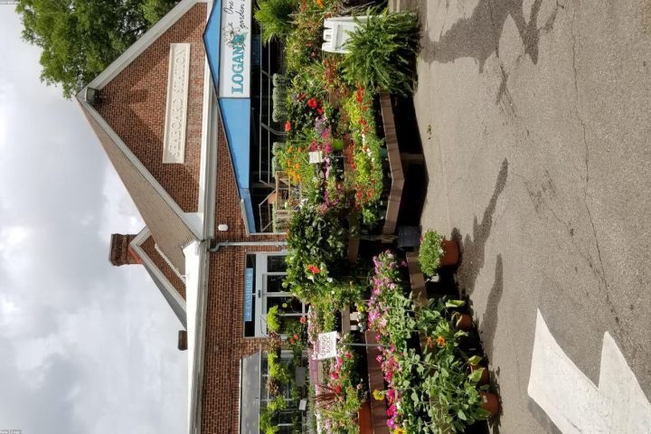 A gardener reading plant tags at a spring nursery.