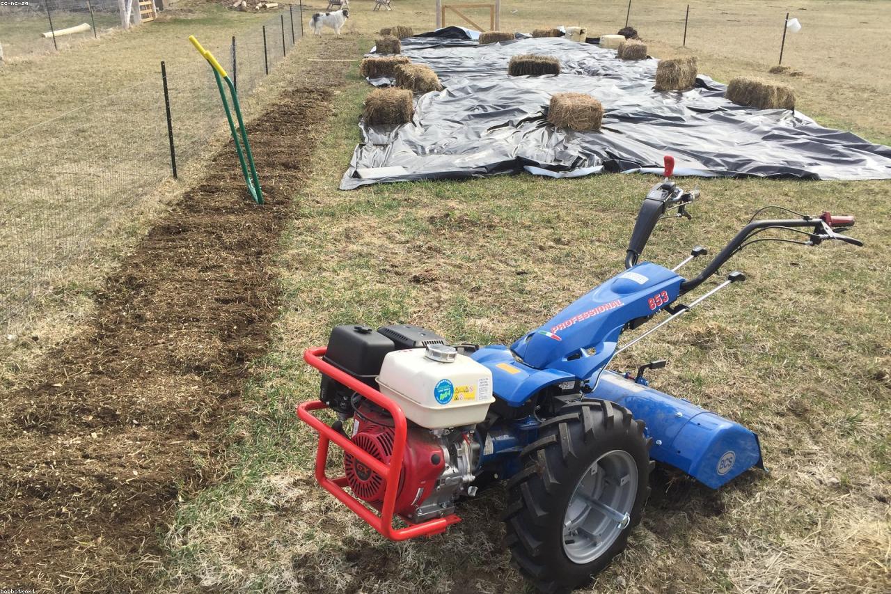 A broadfork being used to aerate compacted garden soil.