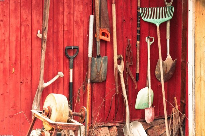 Used garden tools organized inside a small garden shed.