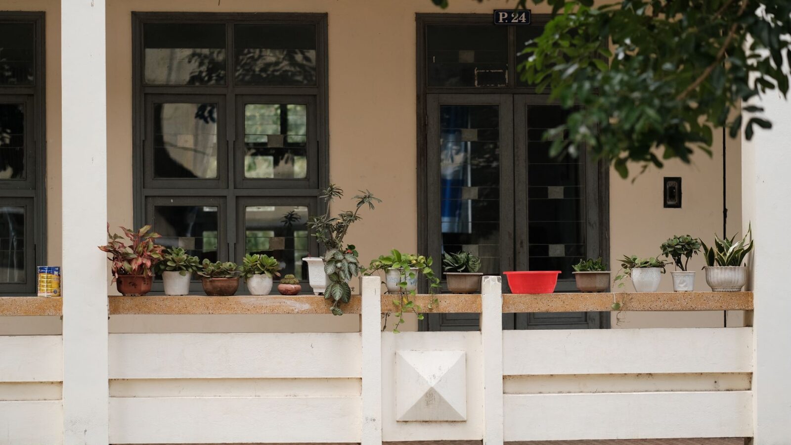 A grouped cluster of terracotta and glazed pots on a shaded porch with straw mulch visible on the soil surface.