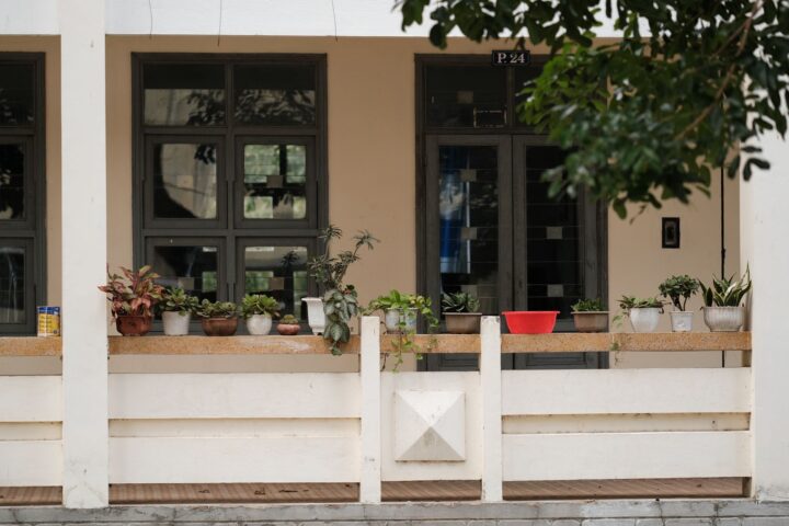 A grouped cluster of terracotta and glazed pots on a shaded porch with straw mulch visible on the soil surface.