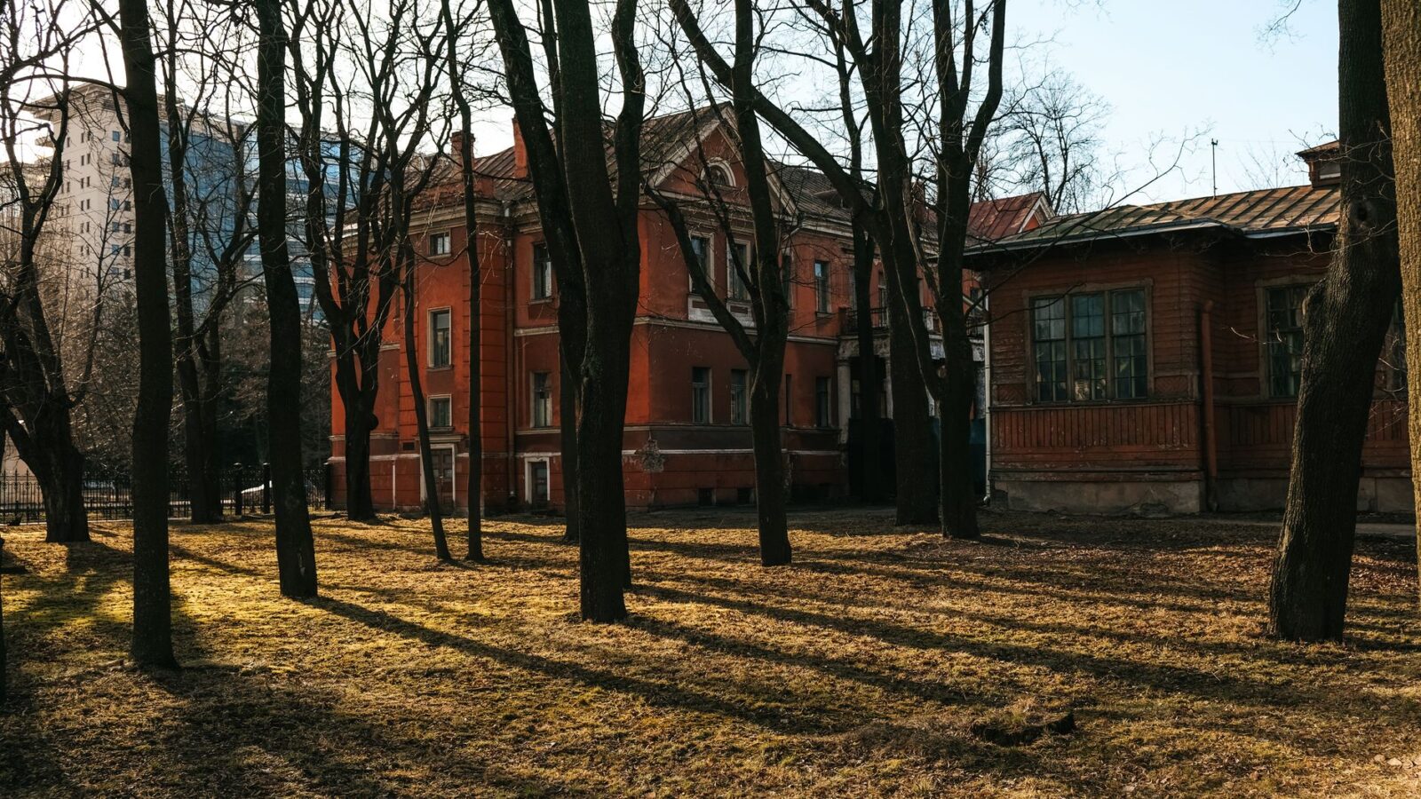 A quarter-acre suburban backyard in early spring with bare beds, a wheelbarrow, and morning shadows crossing a lawn edge.