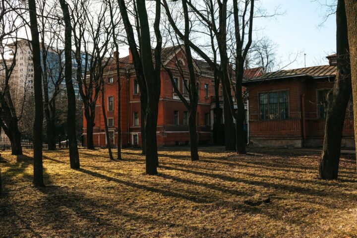 A quarter-acre suburban backyard in early spring with bare beds, a wheelbarrow, and morning shadows crossing a lawn edge.