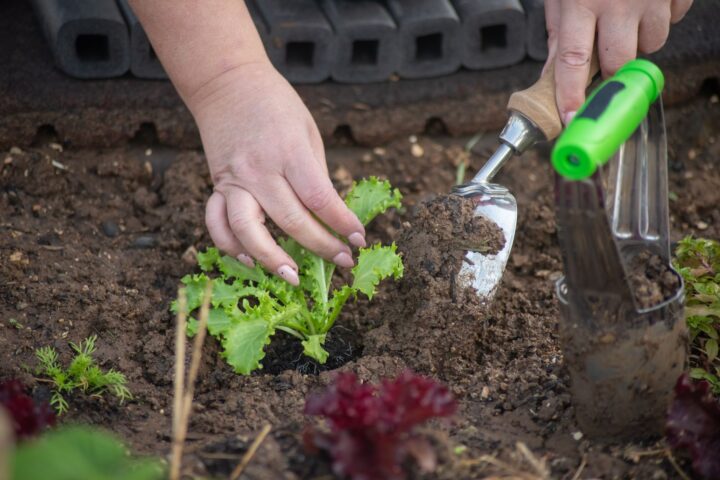 A gardener's hand holding a soil core showing moist topsoil above dry subsoil layers.