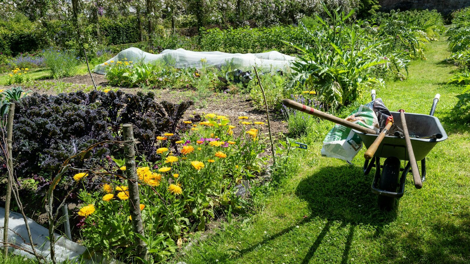 A thick layer of wood chip mulch spread across a garden bed to suppress weeds.