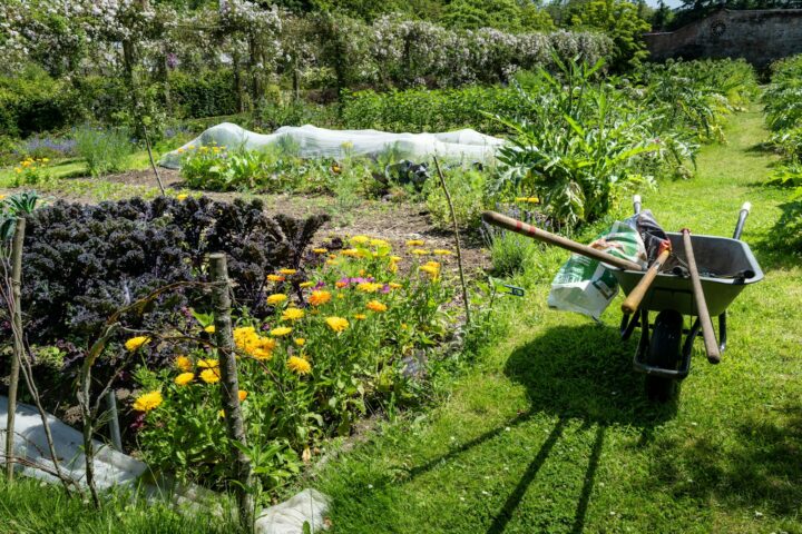 A thick layer of wood chip mulch spread across a garden bed to suppress weeds.