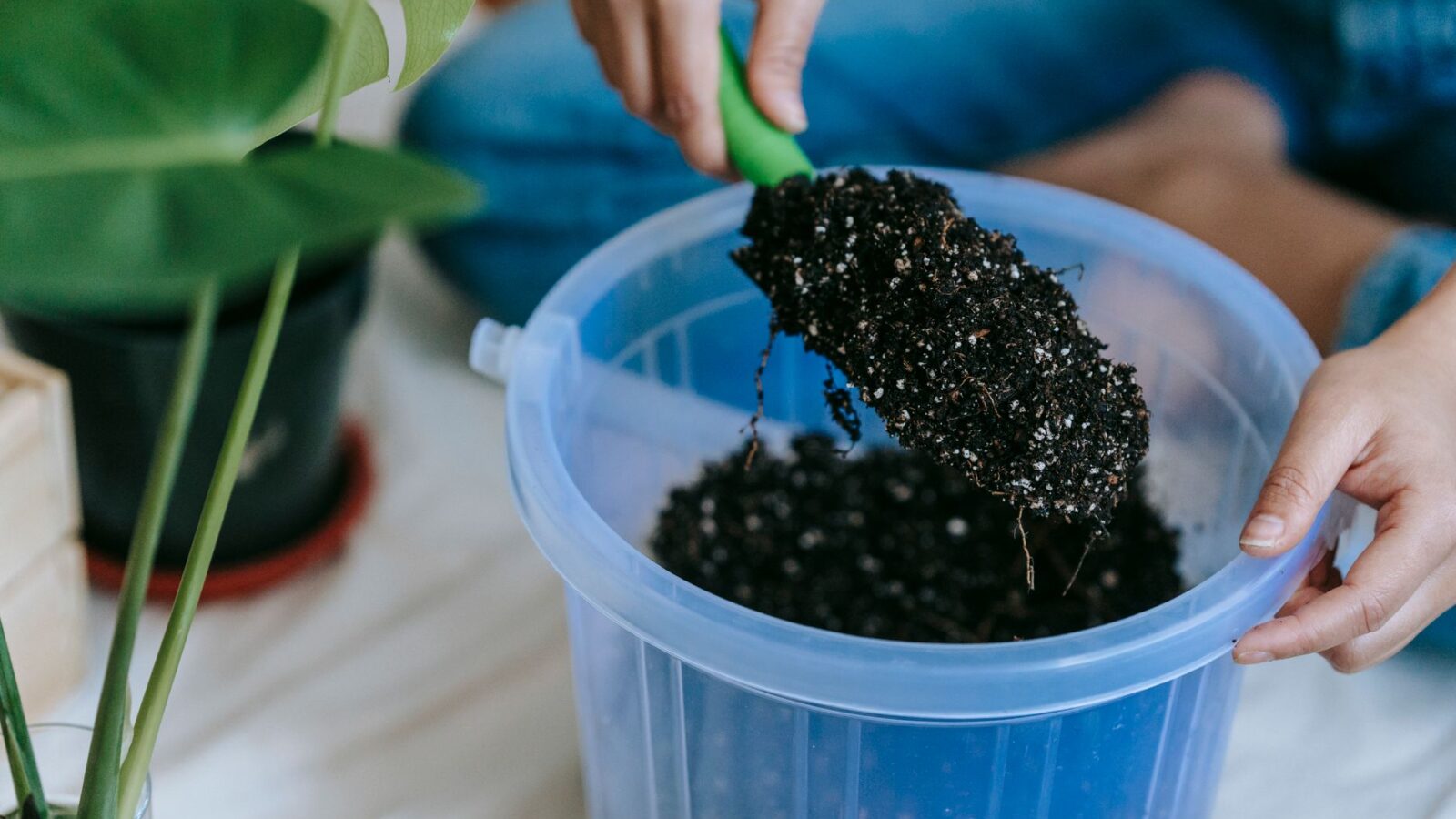 A gardener's hand holding a labeled cardboard soil sample box next to a garden trowel and a bucket of dark garden soil.