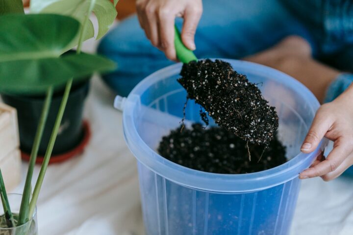 A gardener's hand holding a labeled cardboard soil sample box next to a garden trowel and a bucket of dark garden soil.